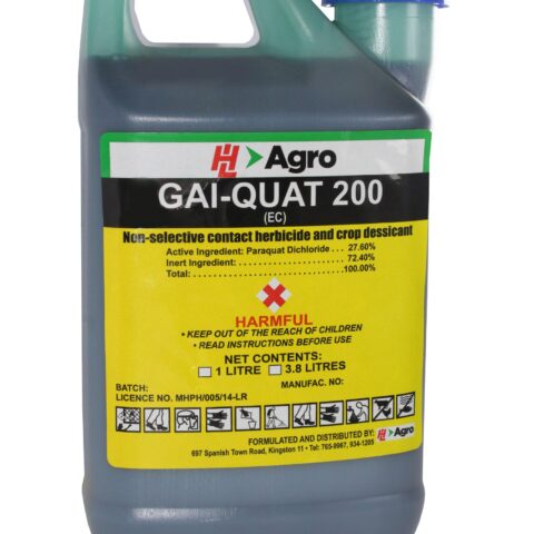 1L Gai Quat 200