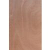 30 in. x 80 in. Ply Door