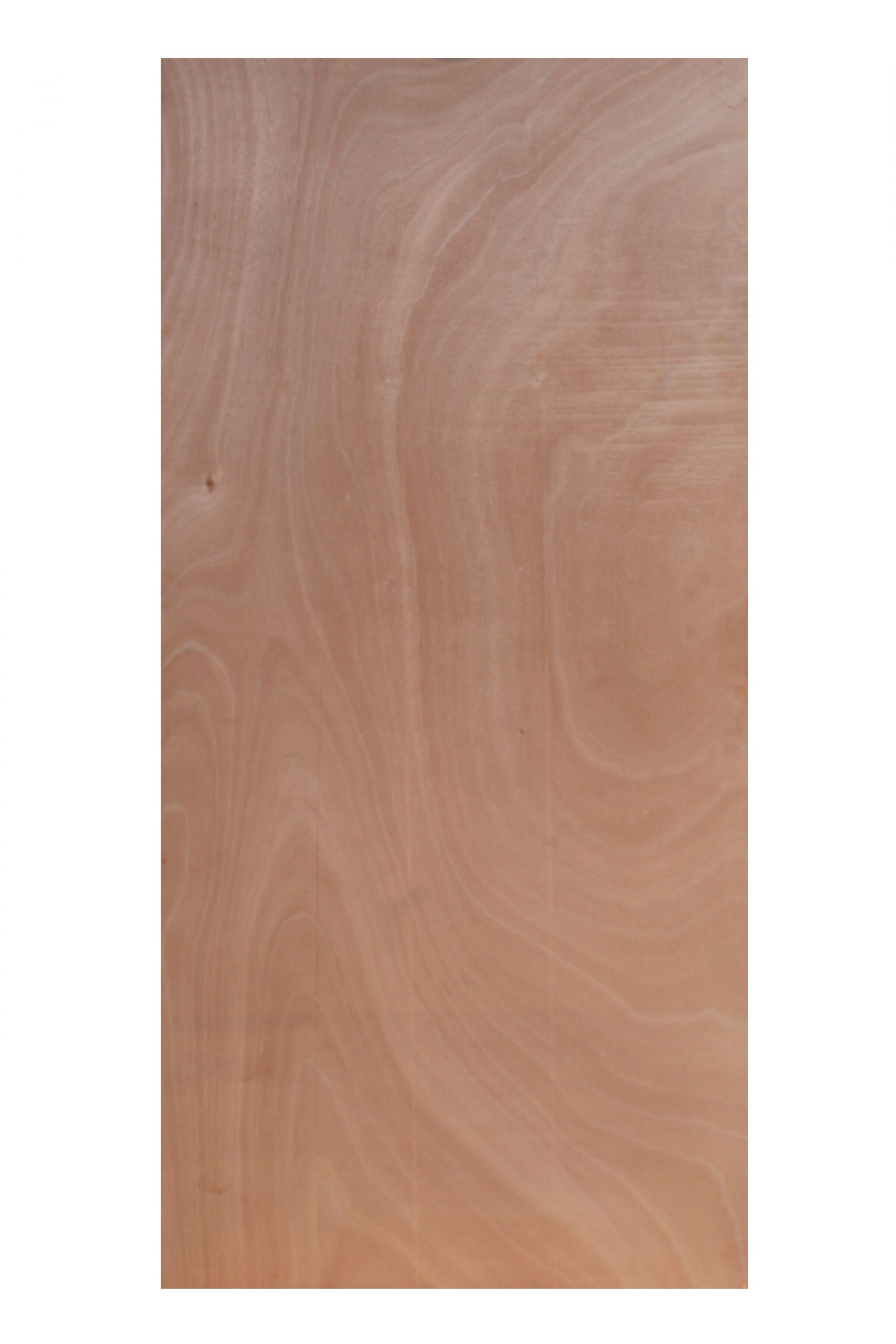 32 in. x 80 in. Ply Door