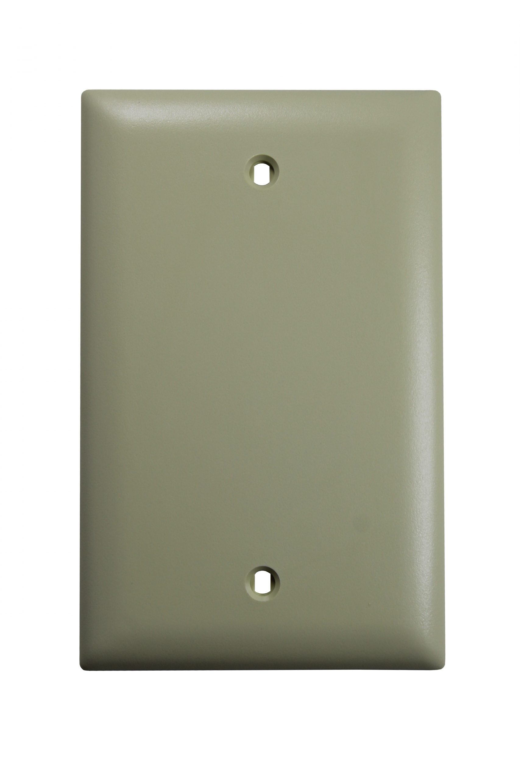 Blank Ivory PVC Plug Cover