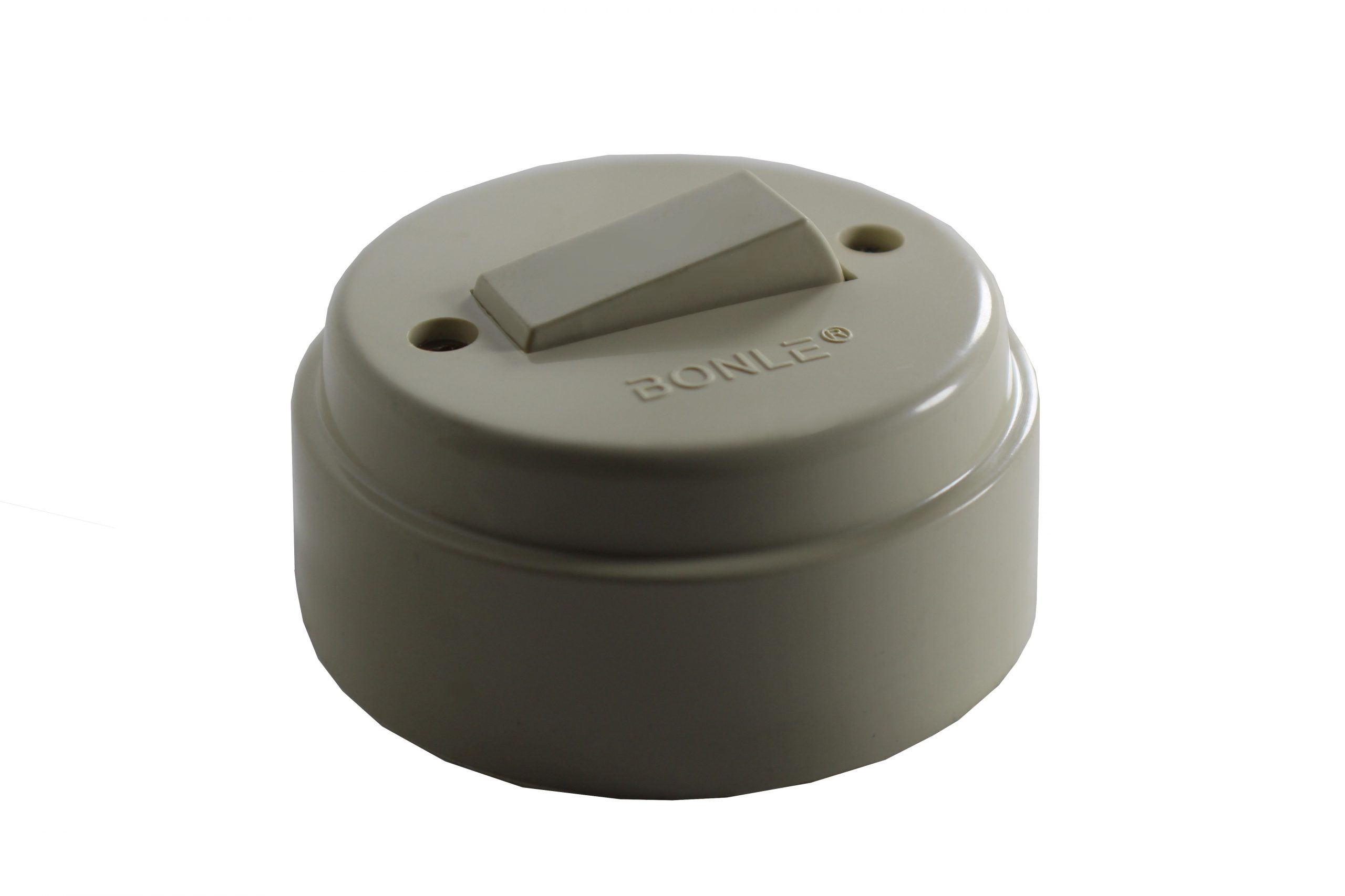 10A Surface Switch