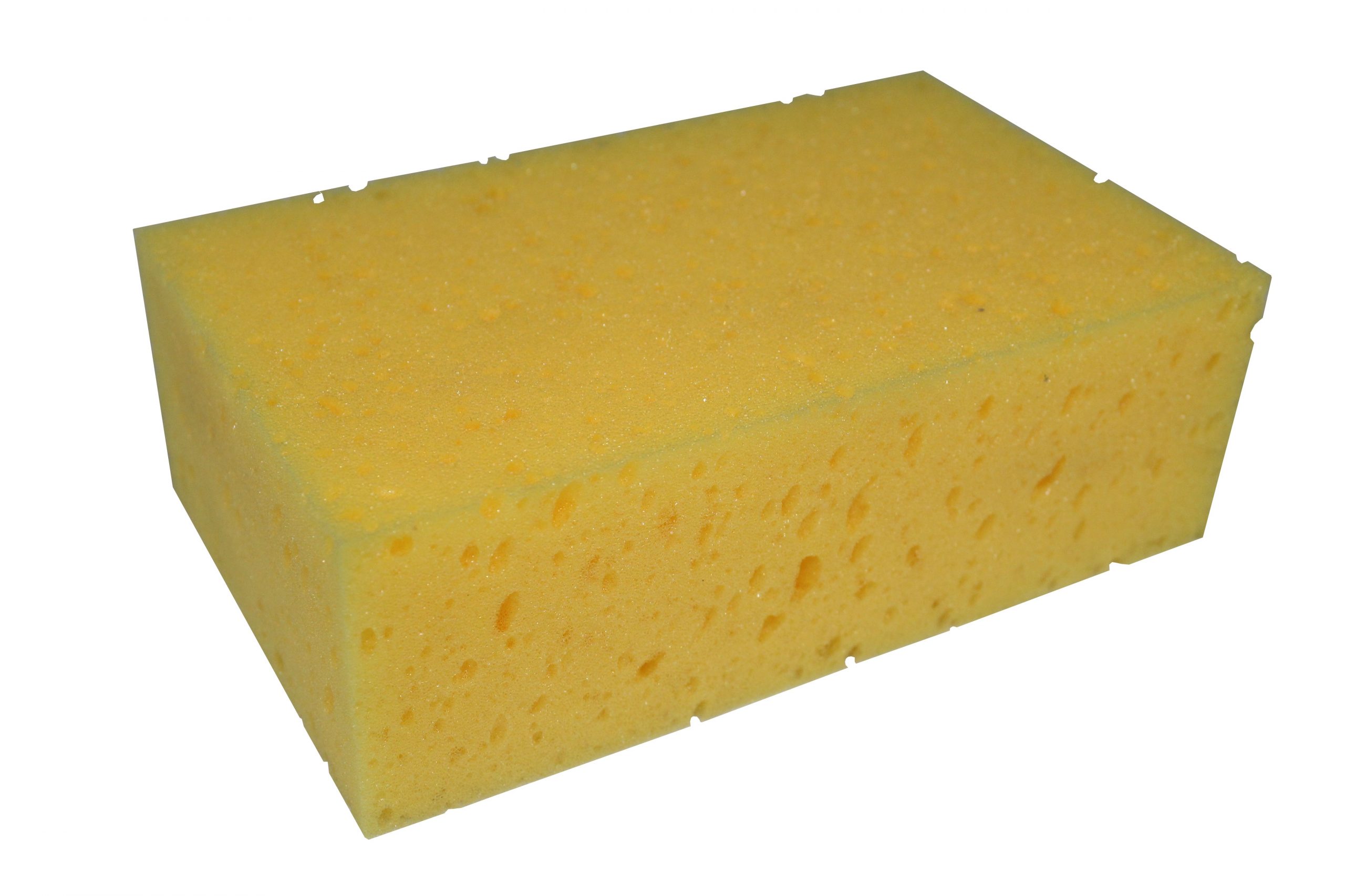 Holtman Tilers Sponge [1513]