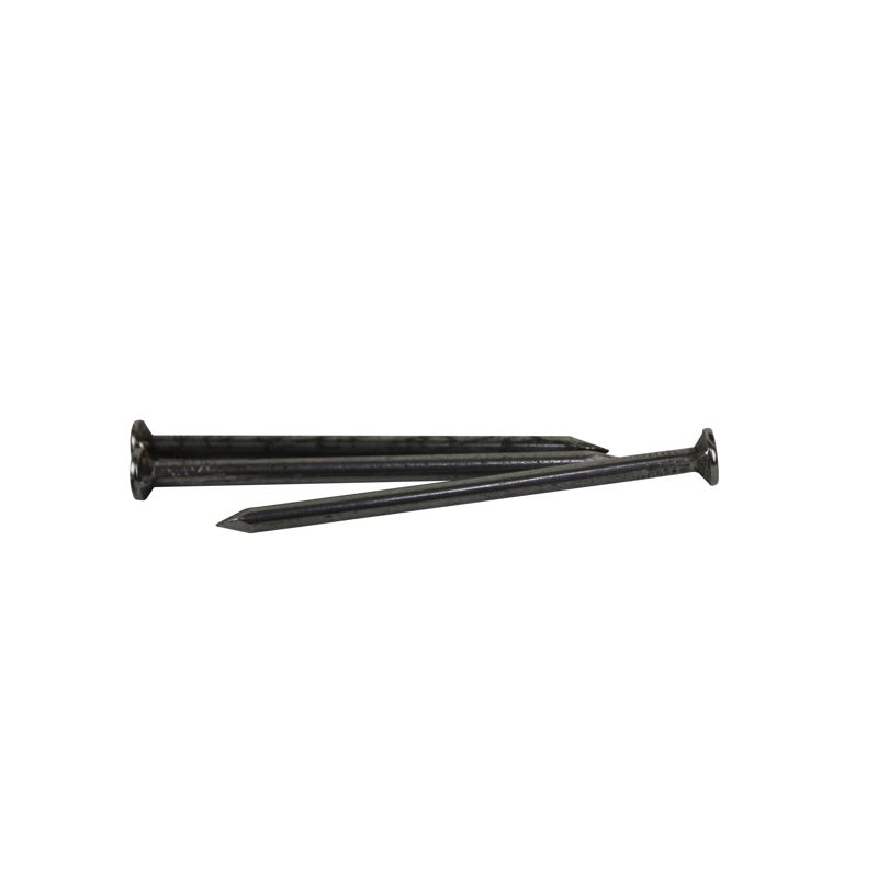 3 in. Head Nail [Per LB/Pound]