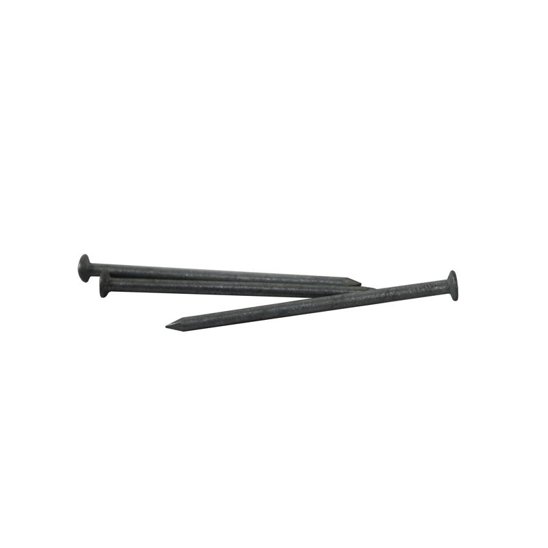 3 in. Galvanised Nail [Per LB/Pound]