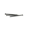 2 in. Galvanised Nail [Per LB/Pound]