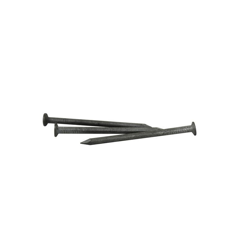 2 in. Galvanised Nail [Per LB/Pound]