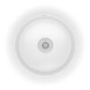Celite Like White Pedestal Basin