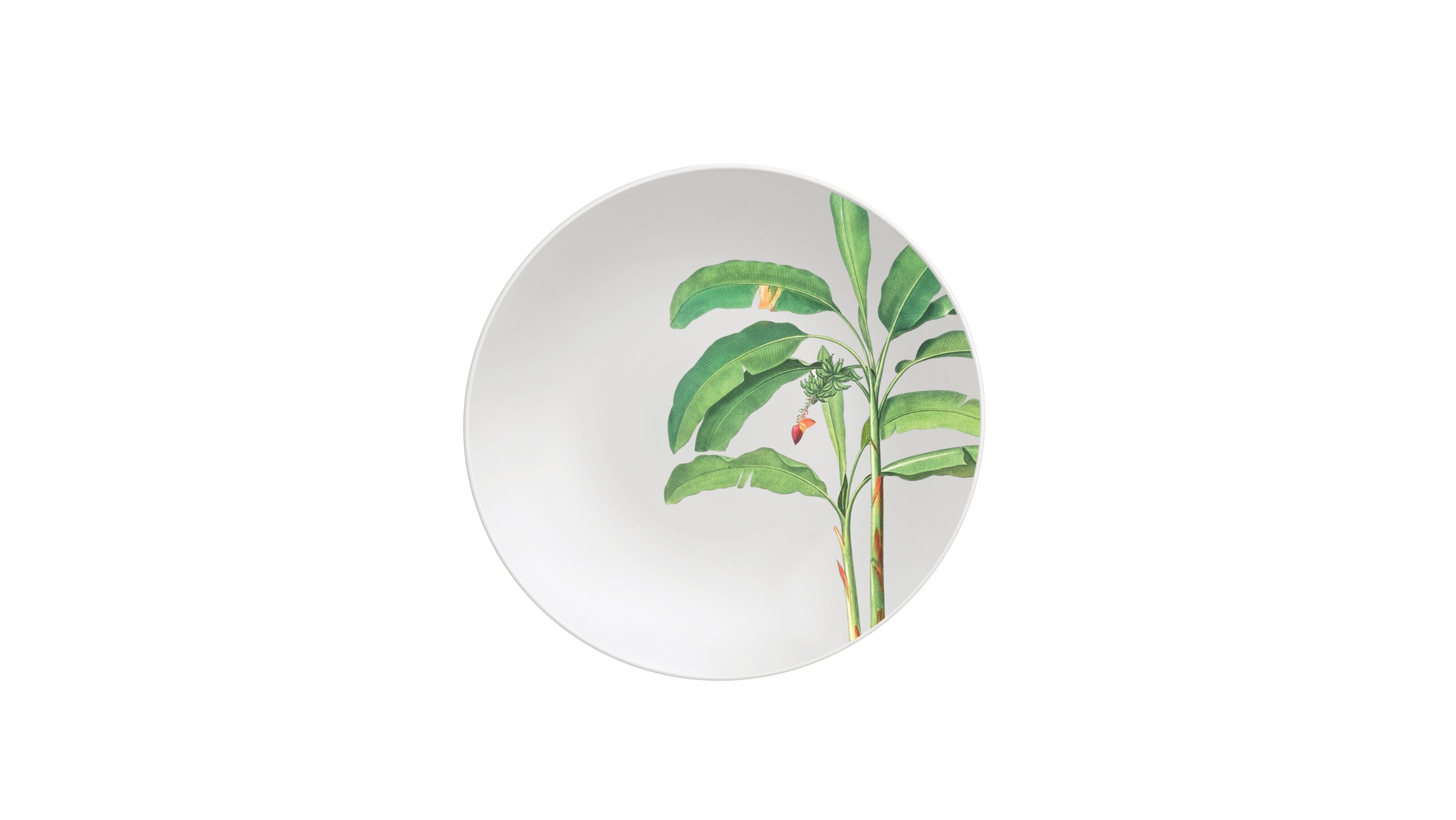 Tramontina Graziela Decorated Porcelain Dessert Plate 19 cm [96011/506]