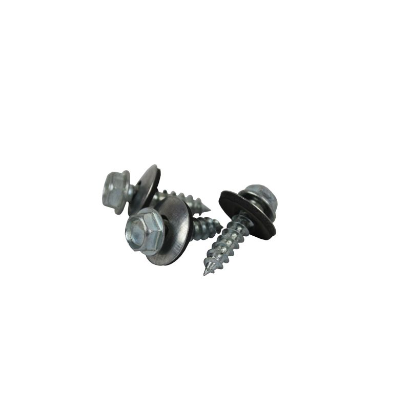 1 in. x 14 mm Roofing Screw [Sold Individually]