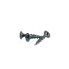 1 in. Drywall Screw [Sold Individually]