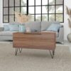 BRV Nut Brown Decorative Table With 2 Door Cabinet & Black Legs [BA 51-180]