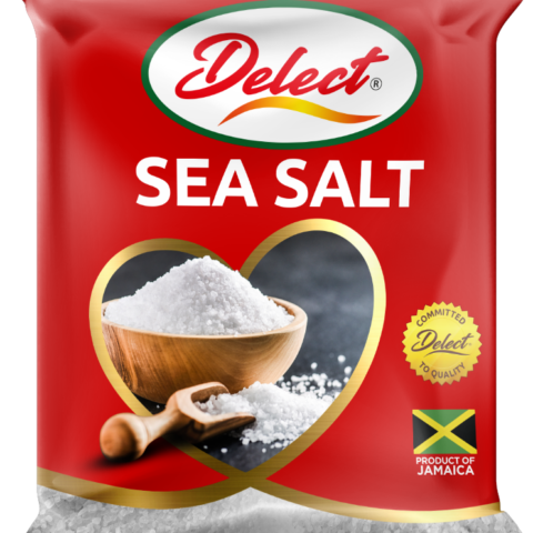DELECT SEA SALT 500G