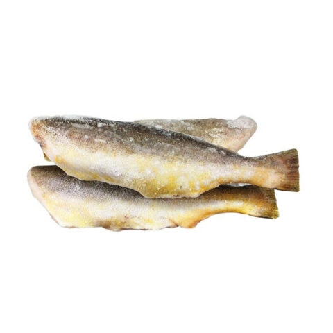 BANGA MARY FISH KG