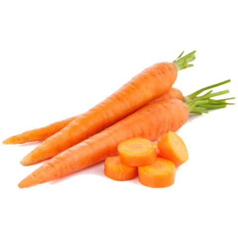 CARROT KG