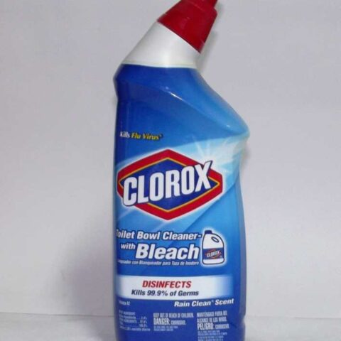 CLOROX T/BOWL CLEANER RAIN 709ML