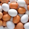 EGGS HALF DOZEN