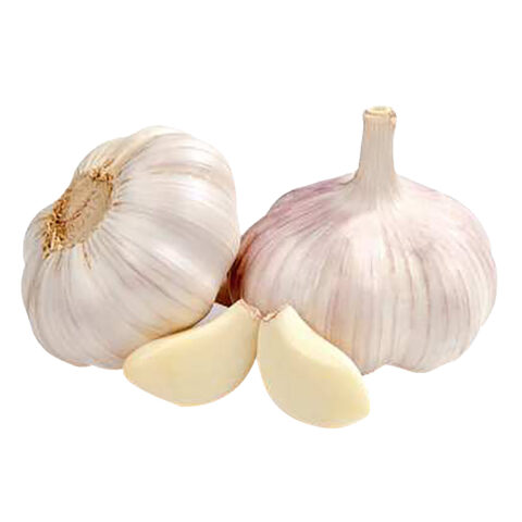 GARLIC (1Sleeve)