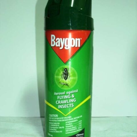 BAYGON AEROSOL FLYING CRAWLING 260ML