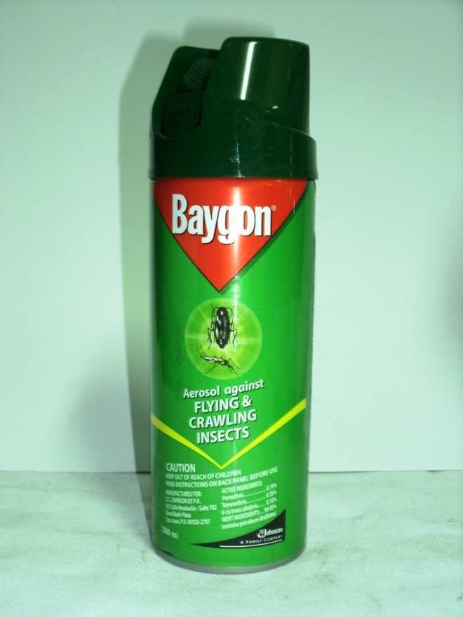 BAYGON AEROSOL FLYING CRAWLING 260ML