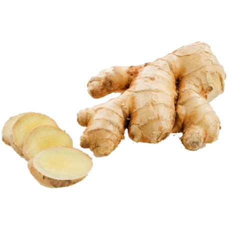 GINGER (KG)
