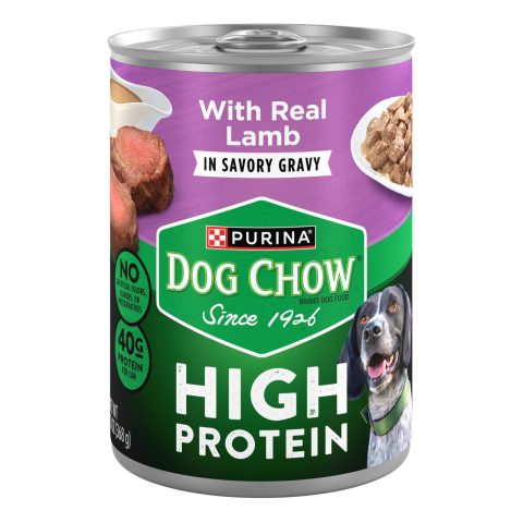 Purina Dog Chow High Protein Wet Dog Food With Real Lamb In Savory Gravy